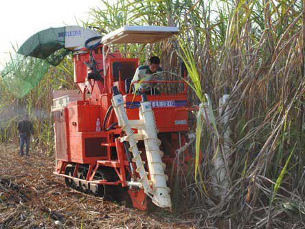 广东科利亚4gz系列甘蔗收割机受热捧