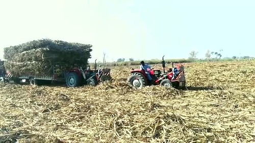 4辆拖拉机拉出重载甘蔗的拖拉机,网友 真费劲,不能少装点吗